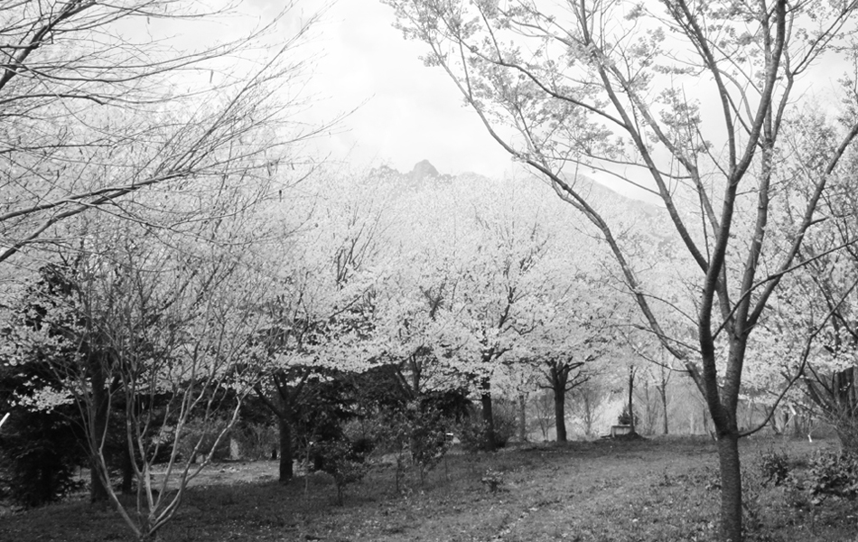 花木公園